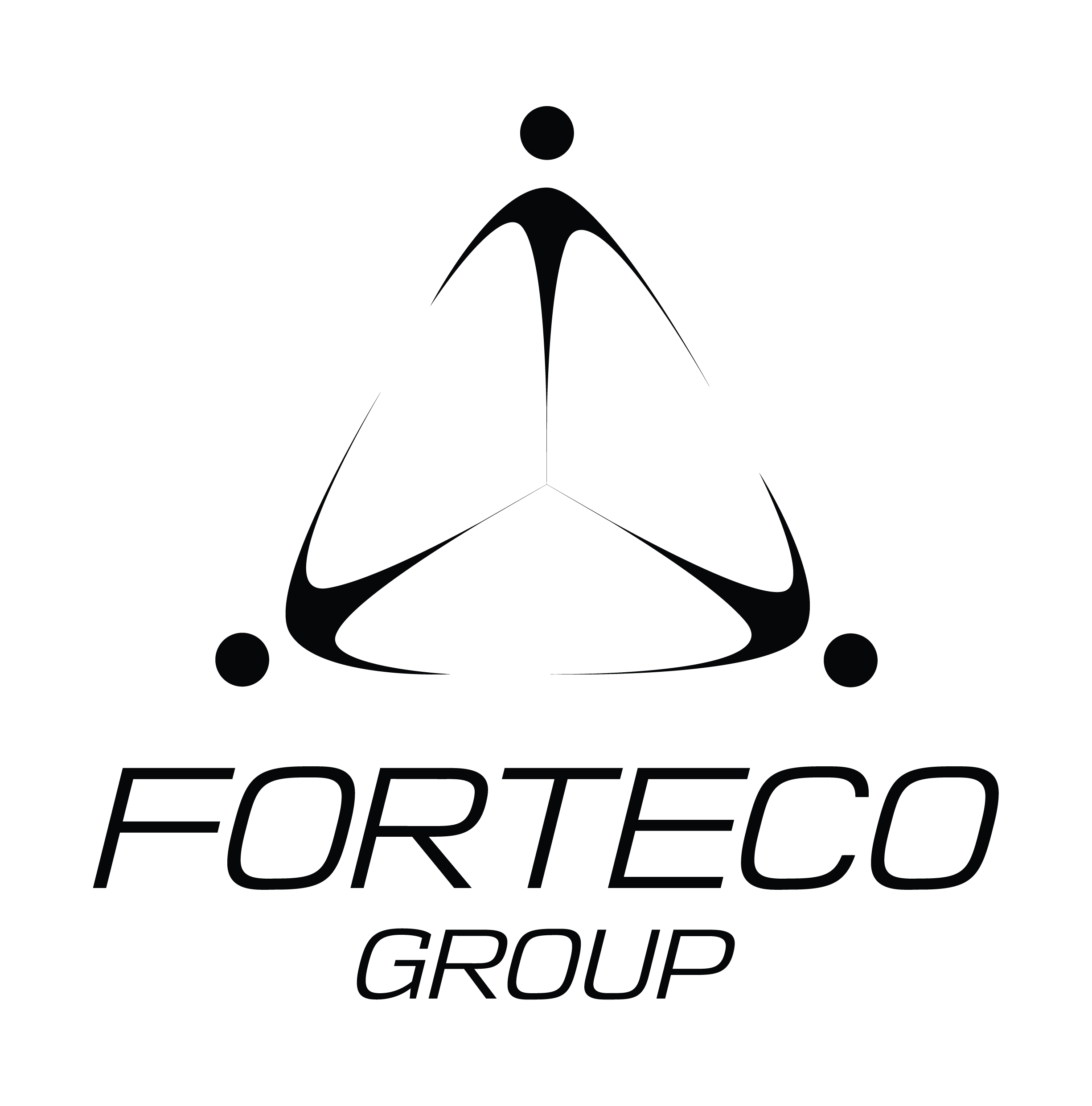 Forteco FORTECO GROUP - Consulenza Ingegneristica